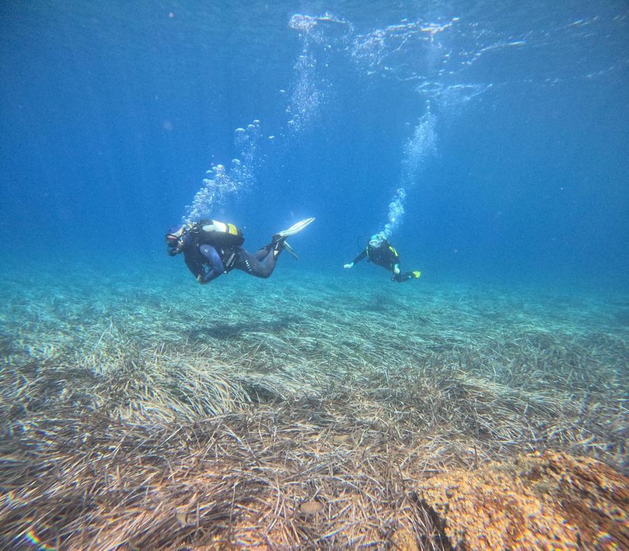 Doi scafandri înotând deasupra fundului cu iarbă de mare, la Thassos, Grecia